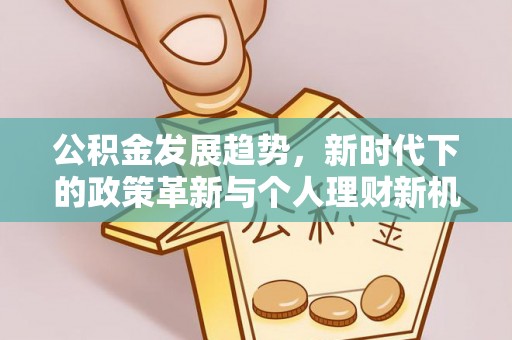 枣庄公积金发展趋势，新时代下的政策革新与个人理财新机遇