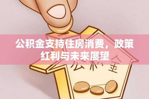 枣庄公积金支持住房消费，政策红利与未来展望